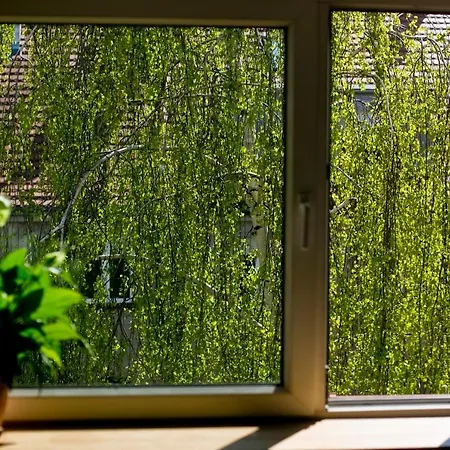 Stylowy, Przestronny 80m2 Na Zielonej Ulicy W Centrum Apartment