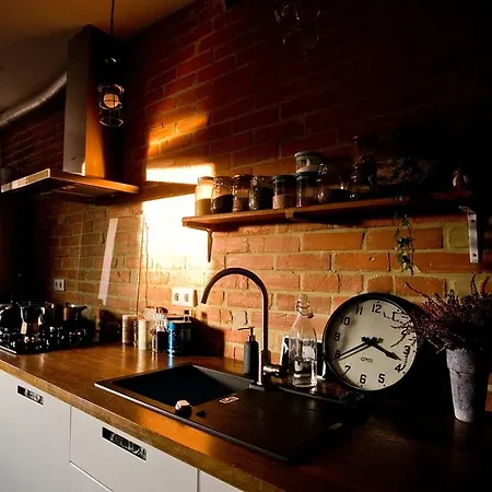 Stylowy, Przestronny 80m2 Na Zielonej Ulicy W Centrum Apartment *