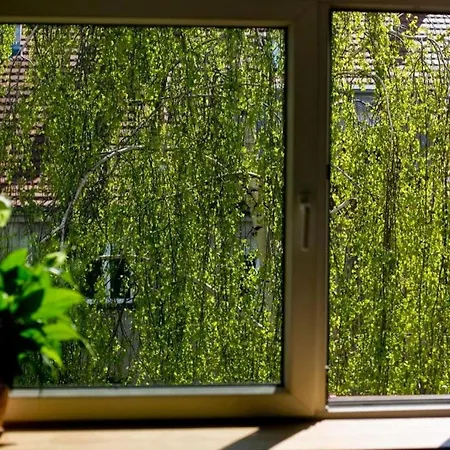 Stylowy, Przestronny 80m2 Na Zielonej Ulicy W Centrum Apartment *
