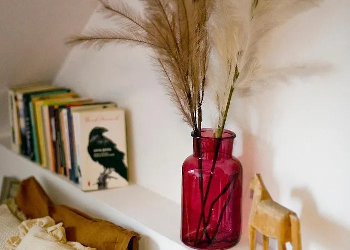 Stylowy, Przestronny 80m2 Na Zielonej Ulicy W Centrum Apartment Breslau