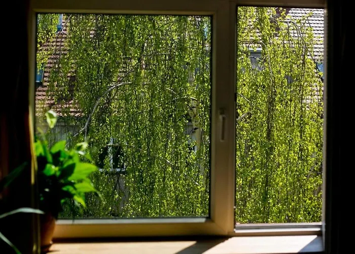 Stylowy, Przestronny 80m2 Na Zielonej Ulicy W Centrum Apartment *